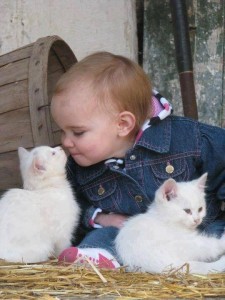 baby-cat